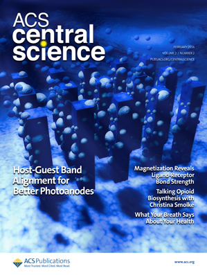 68. Toward Controlled Hierarchical Heterogeneities in Giant Molecules with Precisely Arranged Nano Building Blocks. ACS Cent. Sci. 2016, 2, 48-54