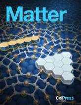 110. Dynamically Tunable, Macroscopic Molecular Networks Enabled by Cellular Synthesis of 4-Arm Star-like Proteins. Matter 2020, 2, 233-249